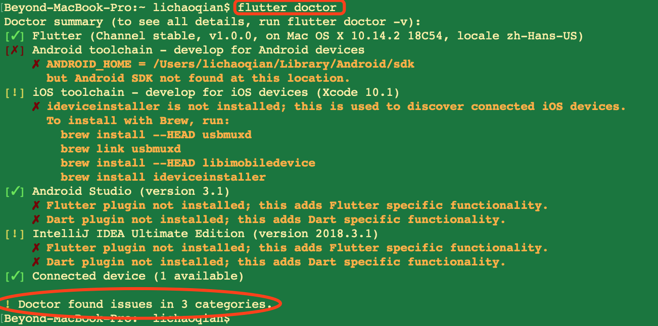 flutter doctor 检测出问题