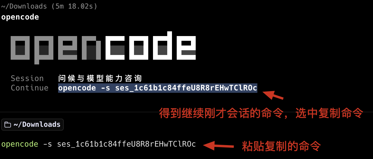 opencode_ses_2continue